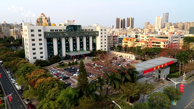 不负横岗好韶华 精彩踏春重归来