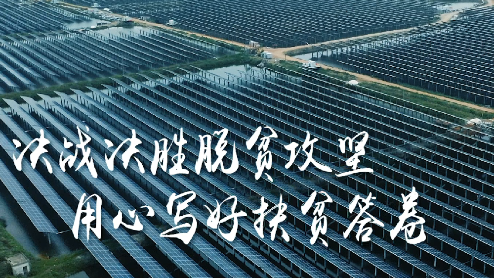 坂田街道：决胜脱贫攻坚 写好扶贫答卷