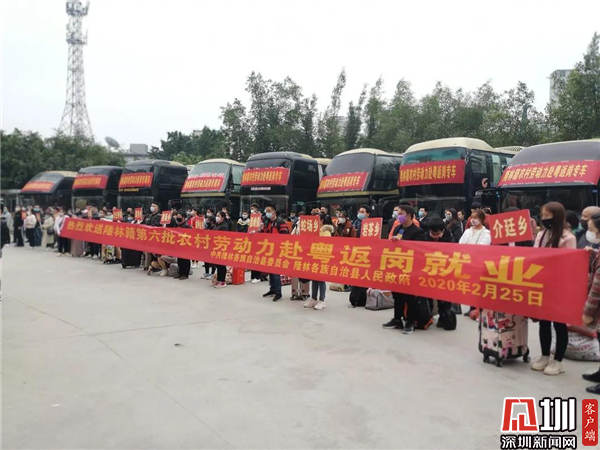 撑好“保护伞” 罗湖全力落实“稳就业”工作部署