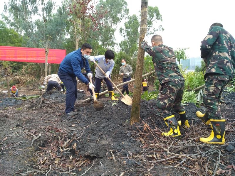 防疫造林两不误，宝龙街道义务植树7000平方米 