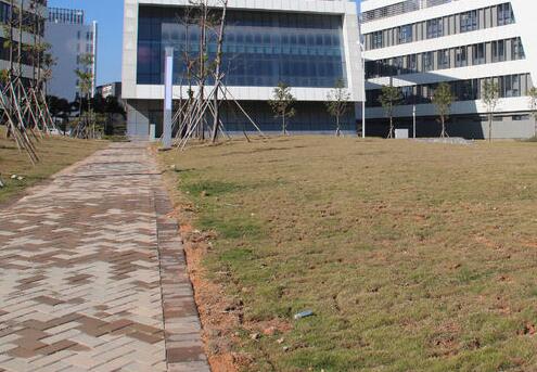 福田区十大园区获评深圳市投资推广重点产业园区 将享多样政策支持 