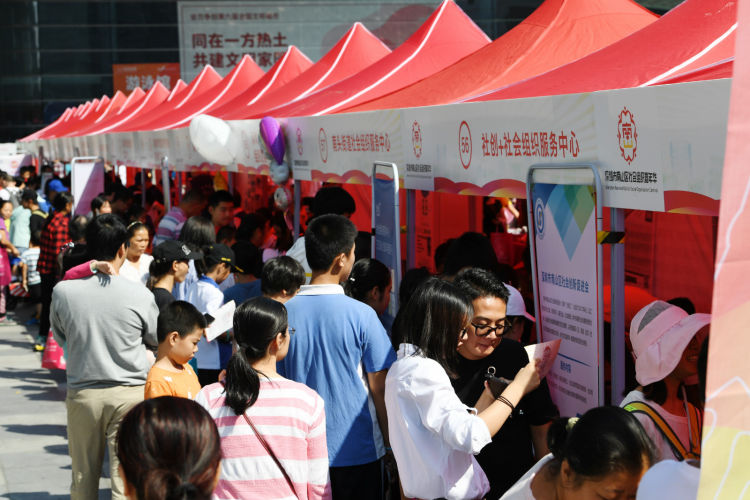 2020年度南山区社会组织等级评估开始申报