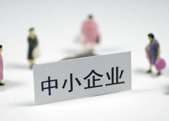 阳光总在风雨后 ——中小企业在疫情中迎难而上