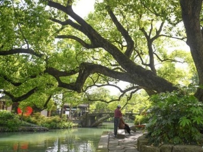 浙江杭州西溪湿地：绿色治理造就“天堂绿肾”
