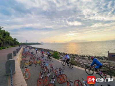 深圳湾公园单车禁行时间调整，新规从5月1日起执行