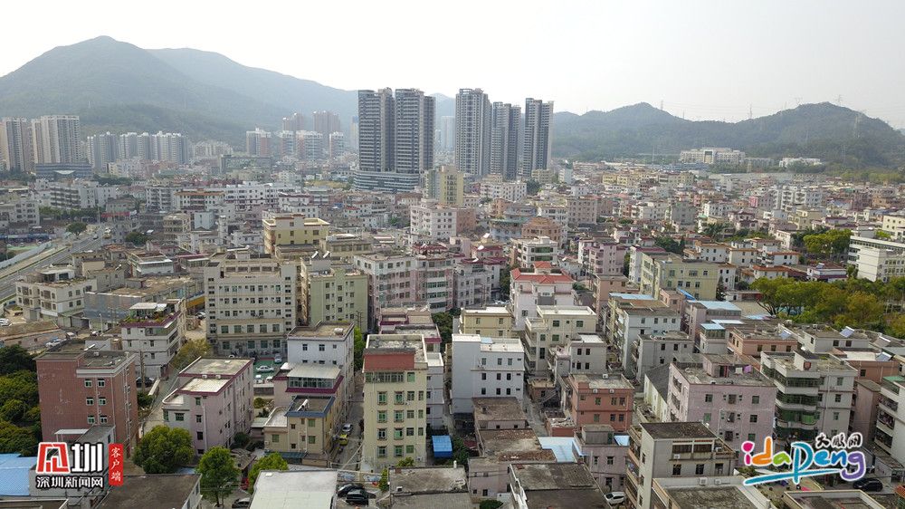 大鹏新区以奖代补助物业企业提升服务质量
