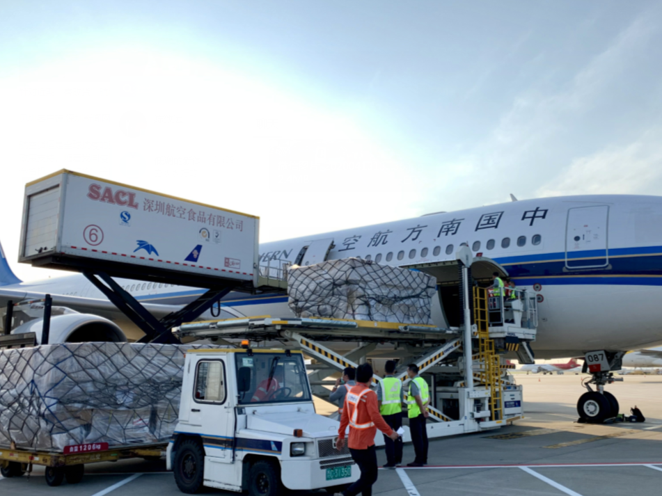 助力全球抗疫 深圳航空业客运改货运全力运输抗疫物资