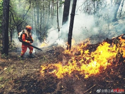 云南丽江森林火灾明火已扑灭，初步调查系电焊施工引发