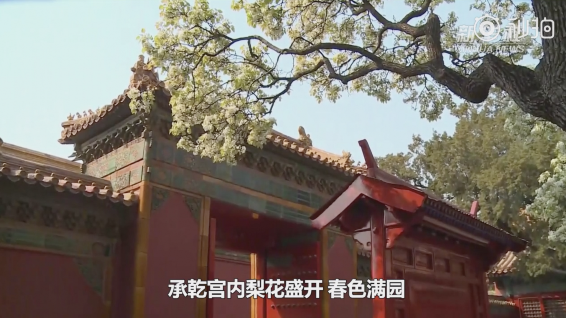 云游故宫， 一树梨花一承乾