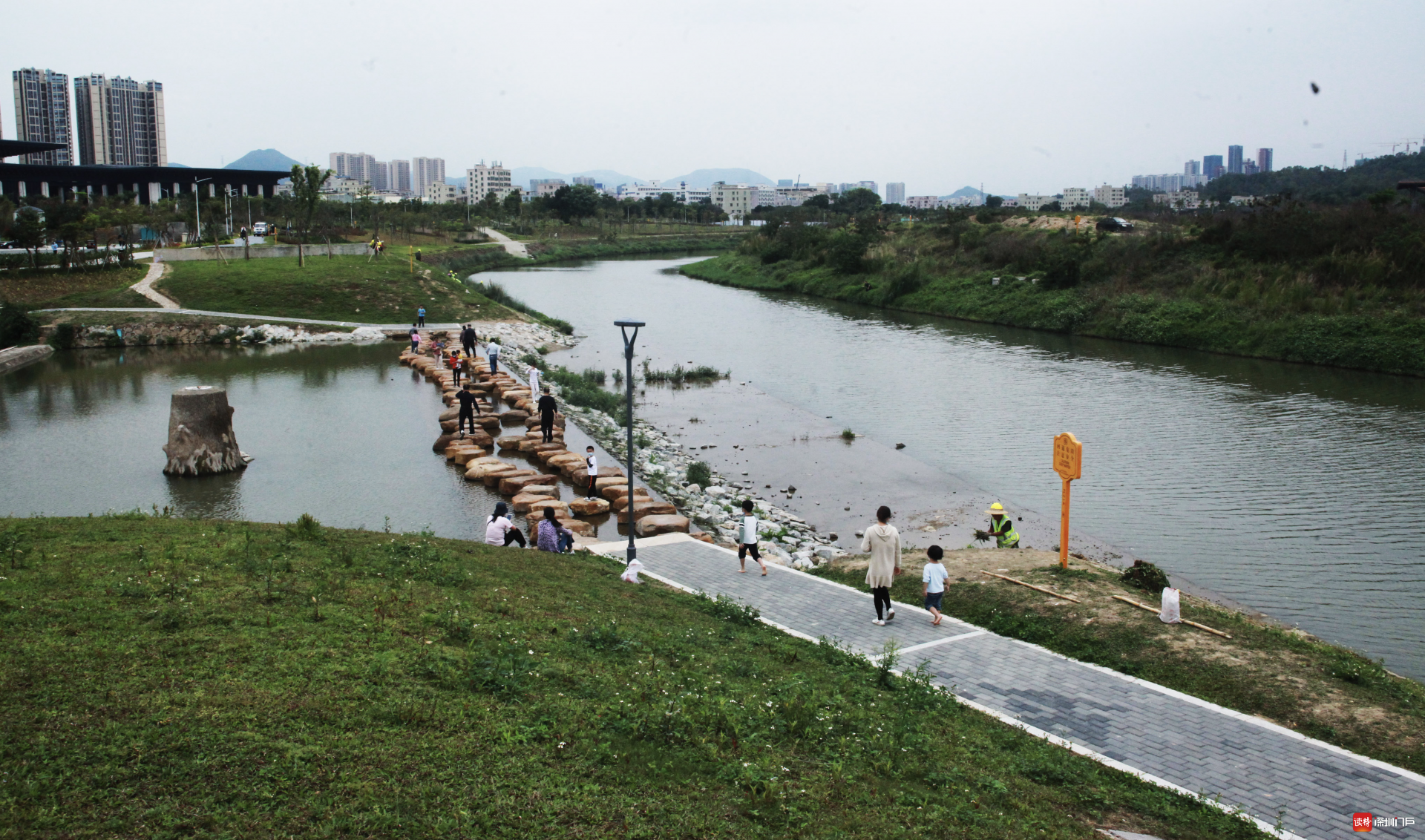 今日的坪山河“水清 岸绿 景美”
