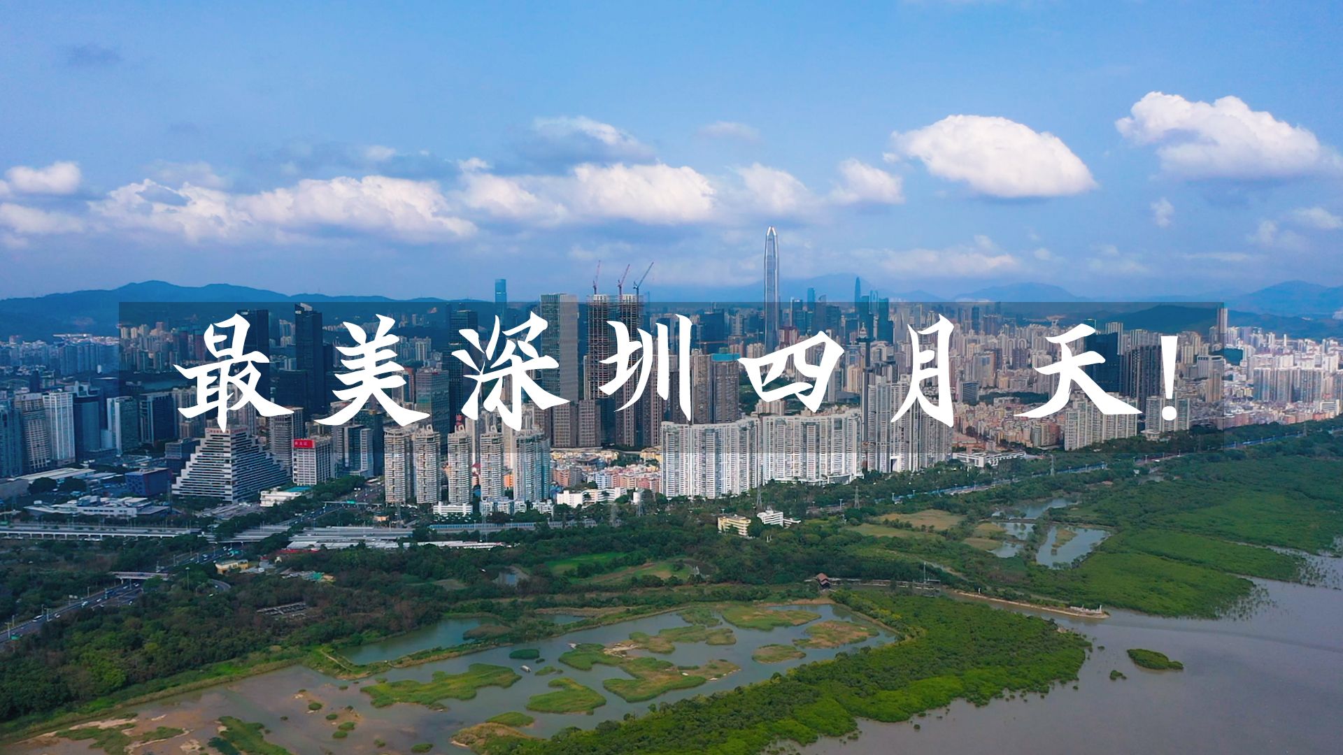 航拍 | 最美深圳四月天！  