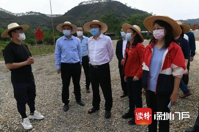 打造爆款“百香鸡”！南山区第三轮帮扶连平县累计超6.5亿