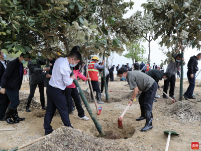 深圳市规划和自然资源局与大鹏新区共同开展2020年义务植树活动