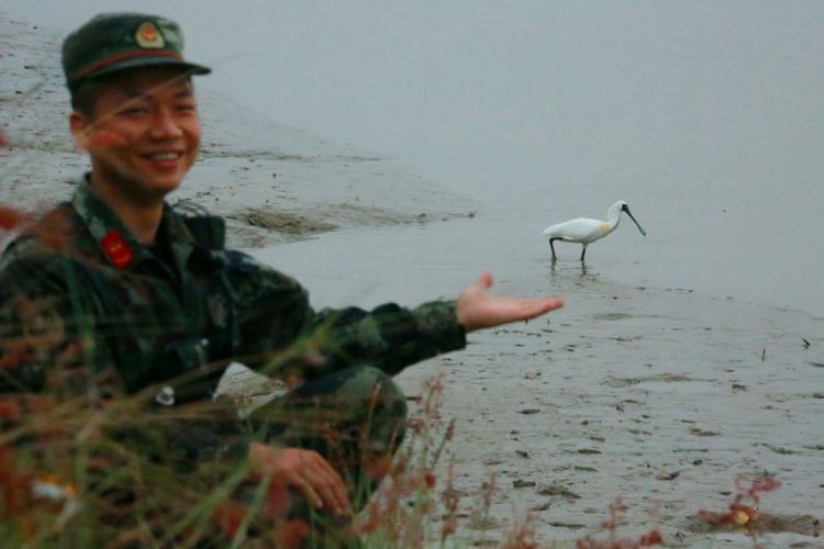 国际爱鸟日 | 武警官兵用爱守护红树林鸟类