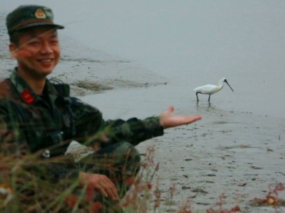 国际爱鸟日 | 武警官兵用爱守护红树林鸟类