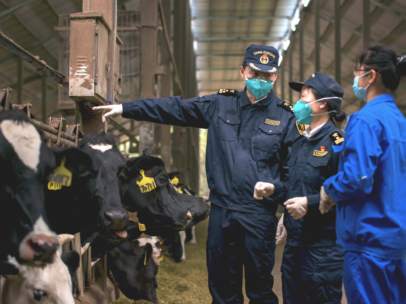 深圳海关暖企政策助力牛乳出口量创新高 