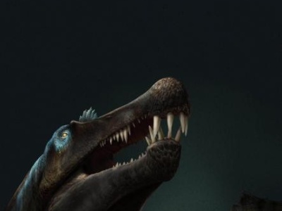 最新化石证据表明，棘龙或是一类非常适合水中生活的恐龙