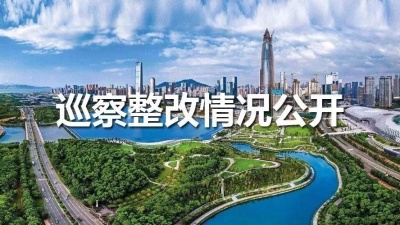 六届深圳市委第十轮巡察16个被巡察党组织公开整改情况