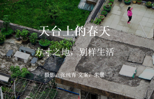 镜界 | 镜头下广州人的生活