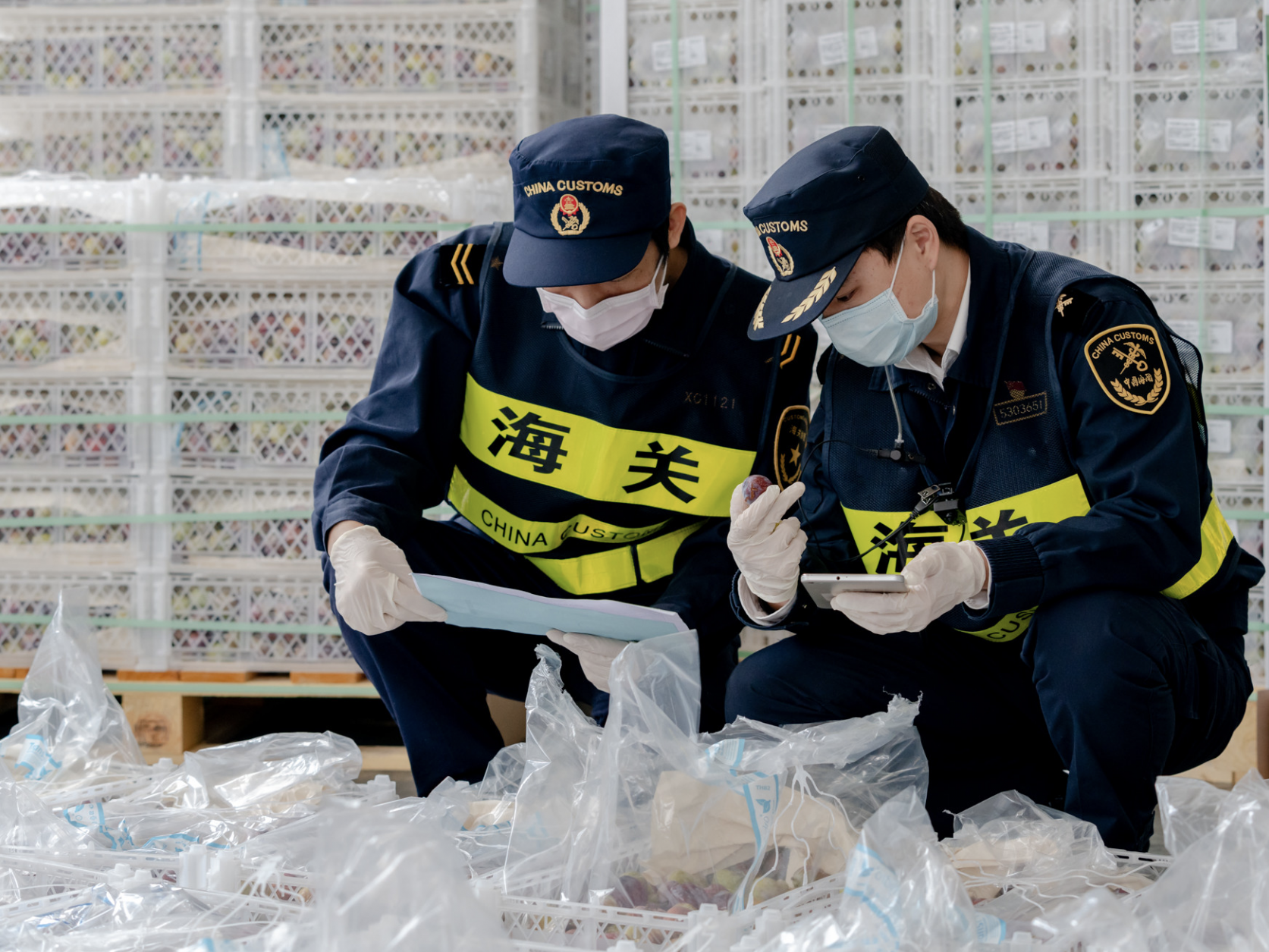 召回！销毁！海关严把进口水果质量关 