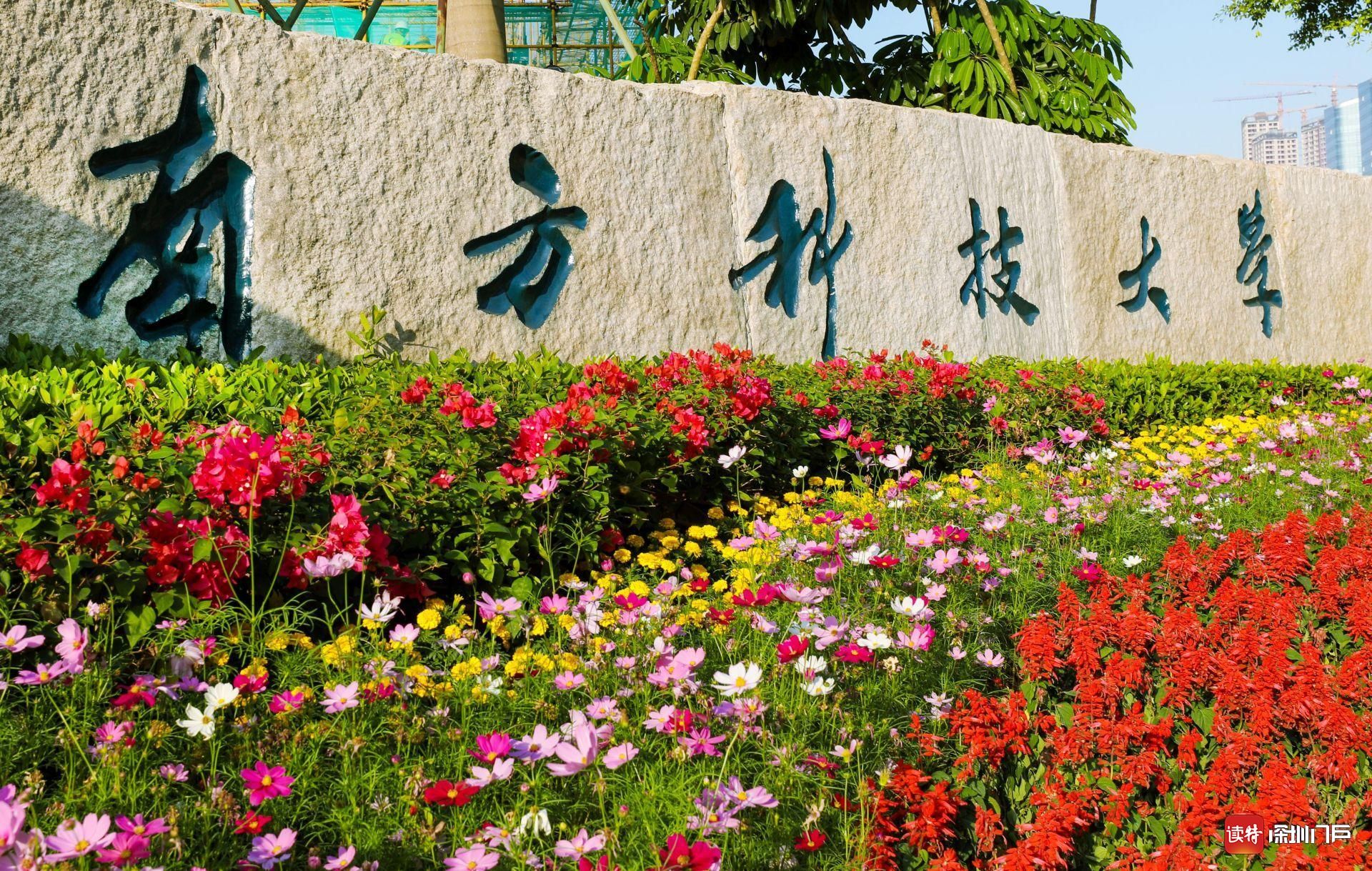 南科大：深培学术厚土 涵育创新人才