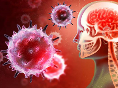 新冠病毒可引起脑部损伤，导致记忆受损等症状