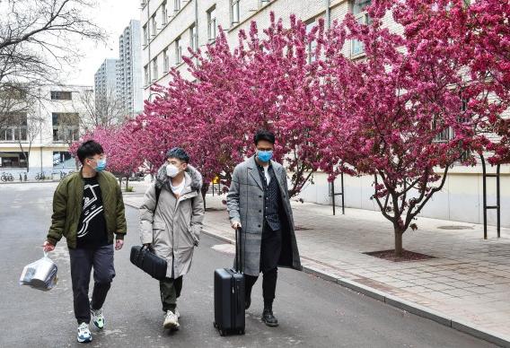 最新！大学生疫情期间不得出校、宿舍床位重新分配！大专院校疫情防控方案发布