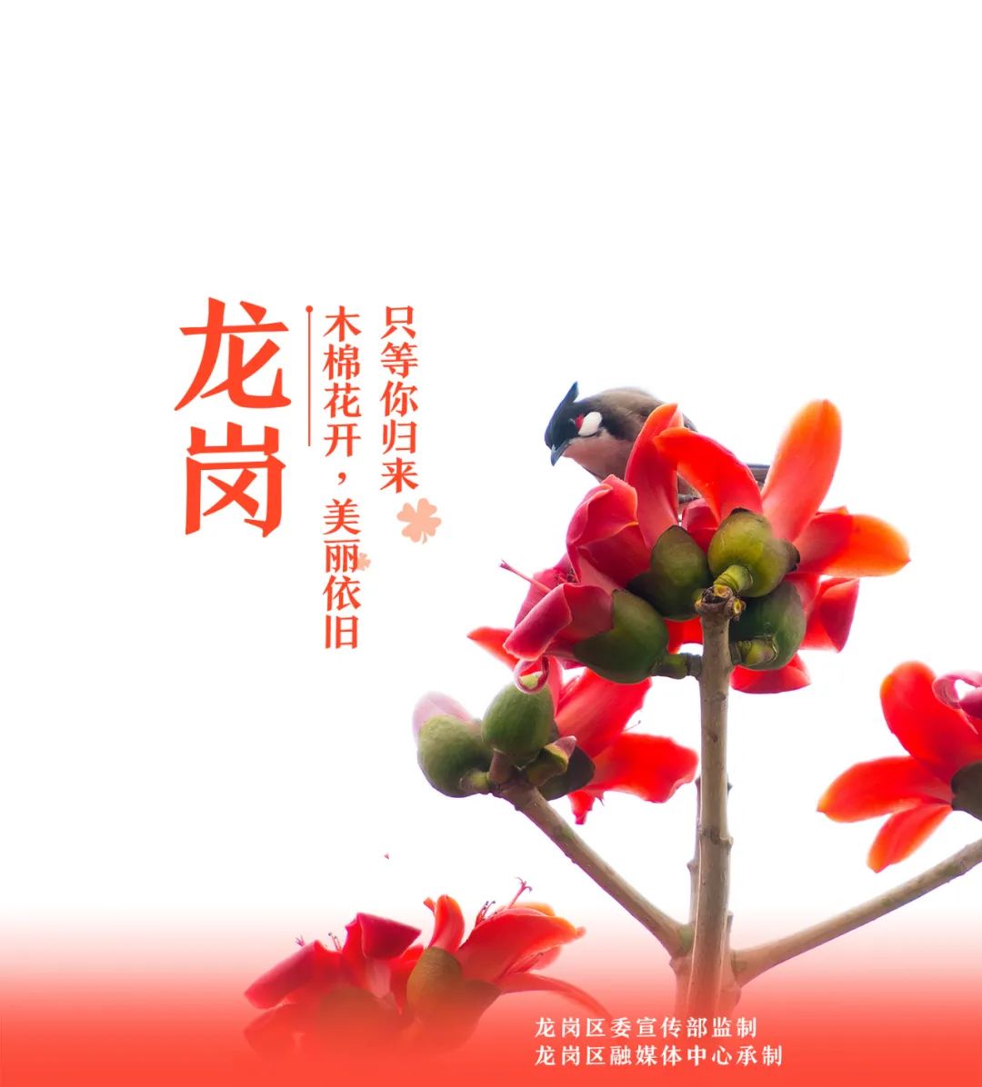 归来！