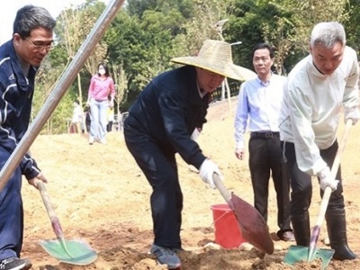 山海盐田再添新景 1.2万平“紫荆花海”即将亮相