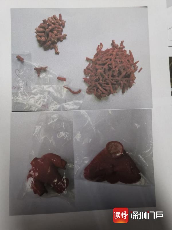 非法出售野生红珊瑚制品获利40多万，嫌疑人心急把自己送进牢房…