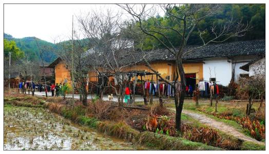广东召开贯彻落实《中国共产党农村工作条例》视频会议，为实施乡村振兴战略提供坚强政治保障