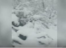 “中国最冷小镇”初夏降大雪 宛如冰雪童话世界