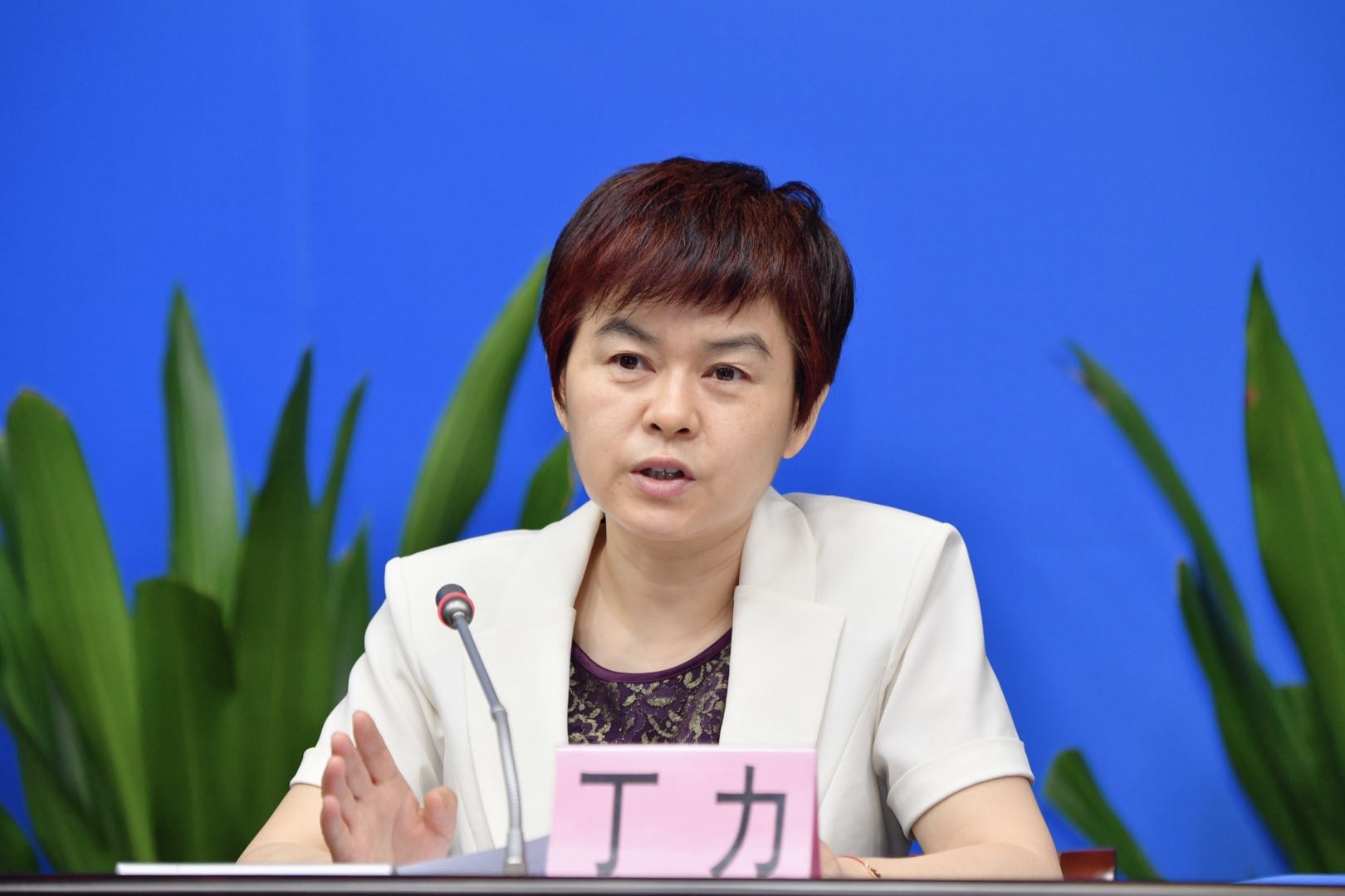 25日广州全市推行企业服务“一网通办、一窗通取”