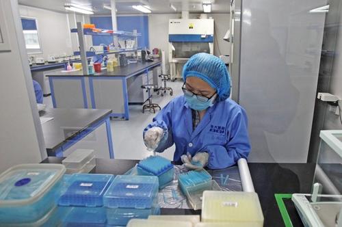 国内首家！华大基因新冠核酸检测产品列入WHO应急使用清单