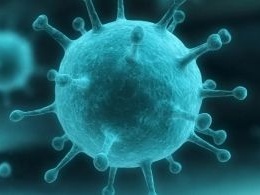 研究发现新冠病毒可能会感染宿主肠细胞