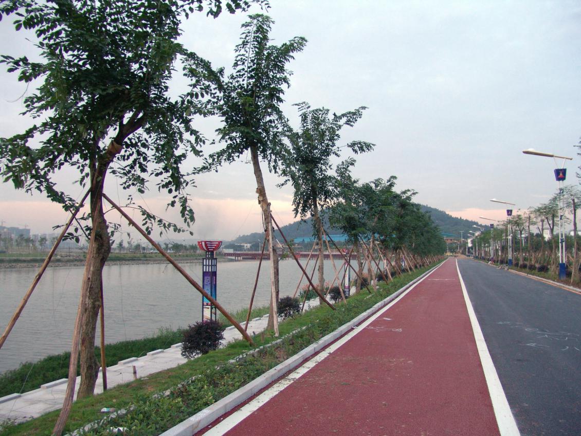 大学城碧道、海鸥岛碧道……番禺5年要建300公里碧道