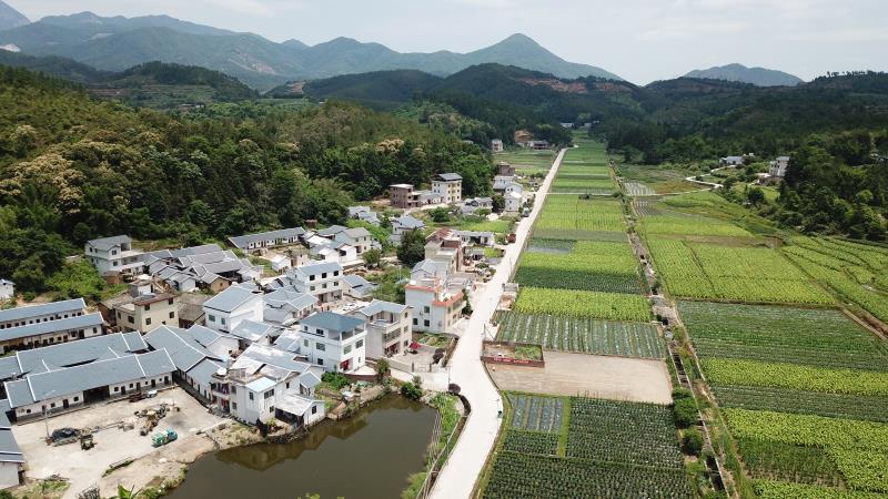 直击扶贫一线：贫困户摇身一变成为技术能手