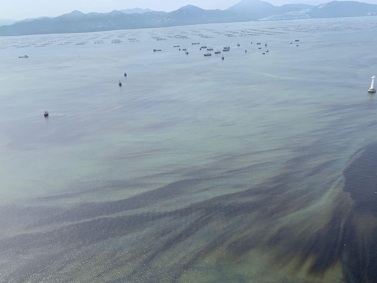 赤潮灾害进入多发季，深圳对重点海域启动早期预警监测