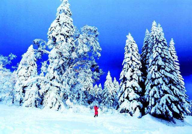 杨安娣委员：吉林省打造冰雪“3+X”全产业链发展新路