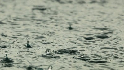 直播 | 打雷了，下雨了！第二波“龙舟水”已到货广东