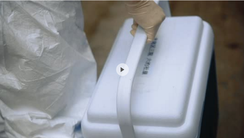 抗疫视频｜我是医生
