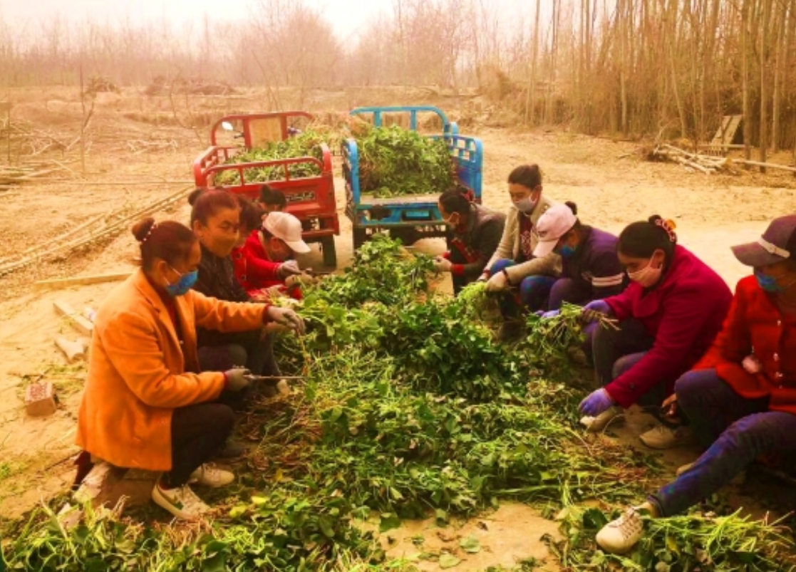 新疆特色农产品“上网触电”，南航定点扶贫按下快进键