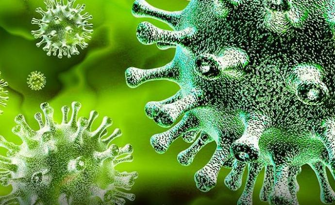 两种细菌蛋白对新冠等有广谱抗病毒活性，清华等团队最新发现