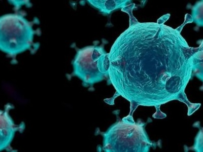 美研究报告：新冠病毒已有14个变种 全球最流行的变种来自欧洲
