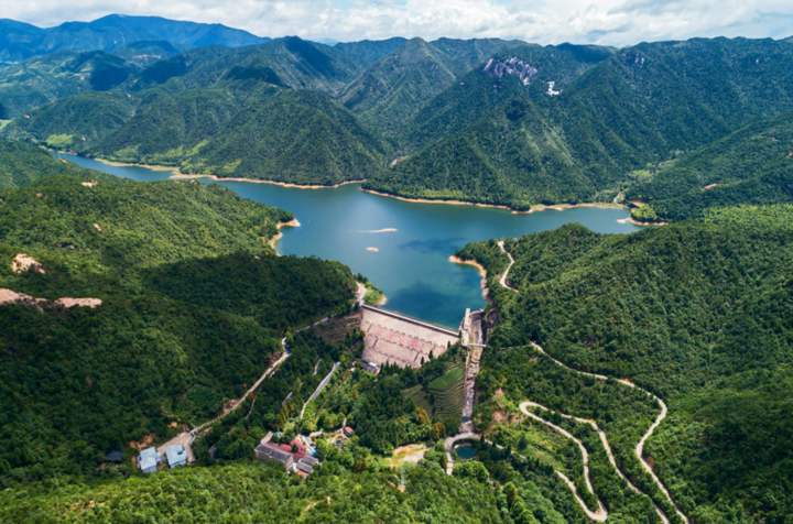 浙江丽水800亩山地的水土空气“卖”了279万元