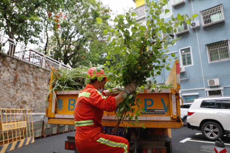 航城街道：全力应对“龙舟水” 确保群众生命财产安全