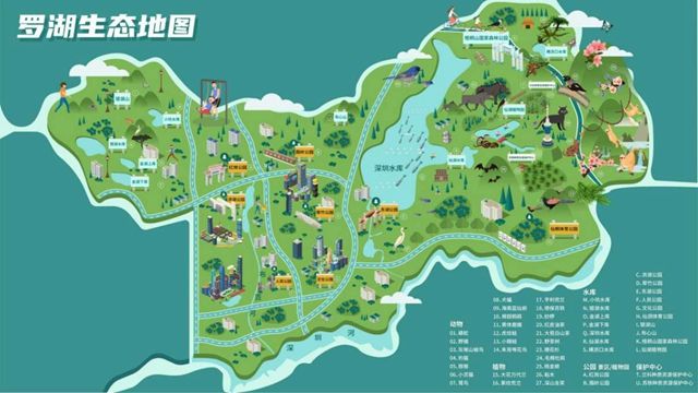 跃动的生态廊道、浩瀚如海的生态风景林...... 罗湖首次发布生态地图