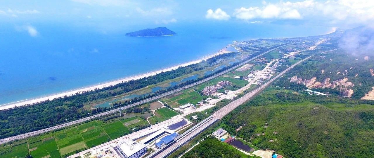 在深全国人大代表杨飞飞：授权深圳建立与港澳衔接的医药卫生服务规则