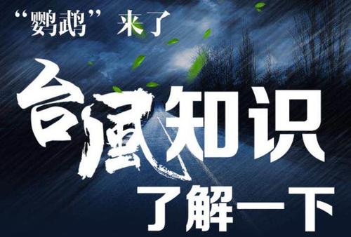 2号台风“鹦鹉”来了，不同的台风预警信号都代表什么含义？