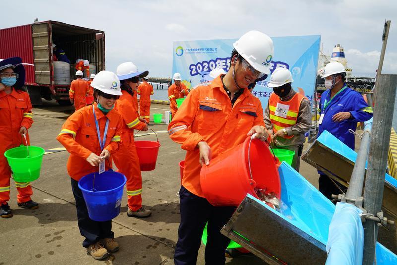 近60万尾鱼苗“安家”大鹏湾，广东大鹏液化天然气有限公司这波操作很“海洋”